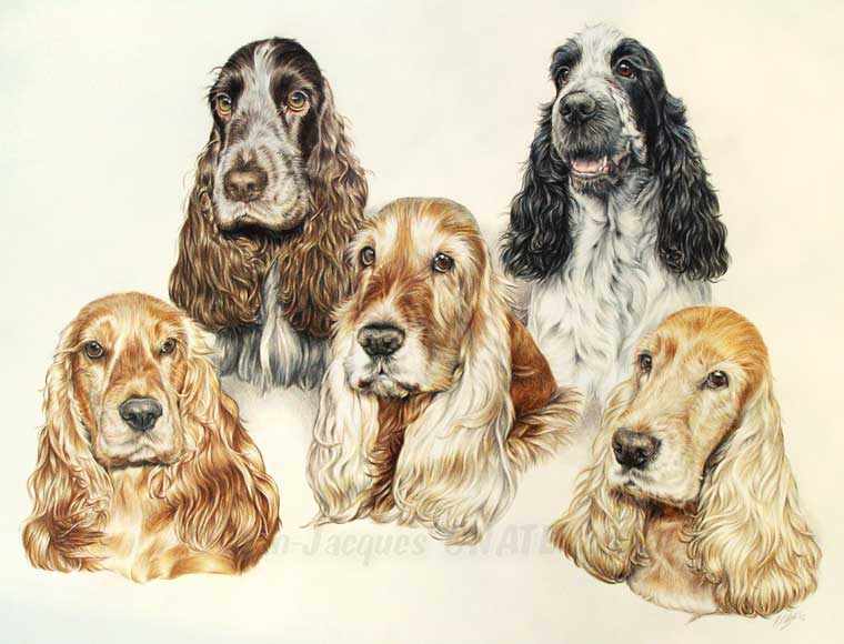 Tableau de Cockers